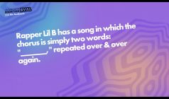 Regular gameplay prompt reveal.