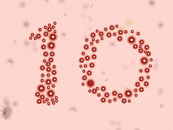 One of the animated Question 10 segues.